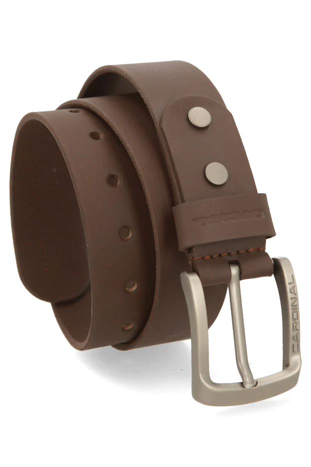 Apollo Sabuk Pria Single Pin V0074F03C - Image 4