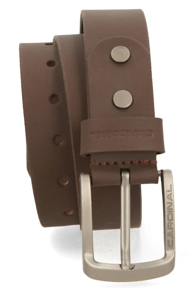 Apollo Sabuk Pria Single Pin V0074F03C - Image 3