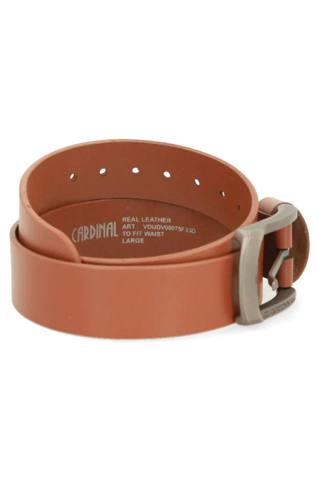 Apollo Sabuk Pria Single Pin V0075F03D - Image 5