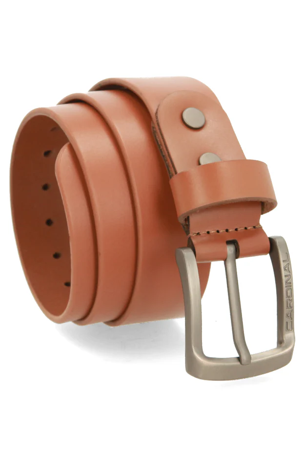 Apollo Sabuk Pria Single Pin V0075F03D - Image 4