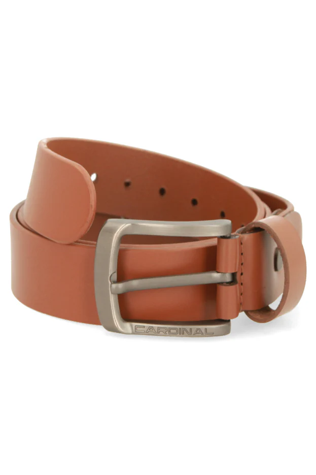 Apollo Sabuk Pria Single Pin V0075F03D - Image 3