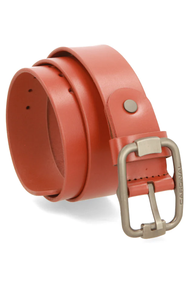 Apollo Sabuk Pria Single Pin V0076F03B - Image 4