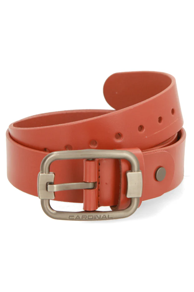 Apollo Sabuk Pria Single Pin V0076F03B - Image 2